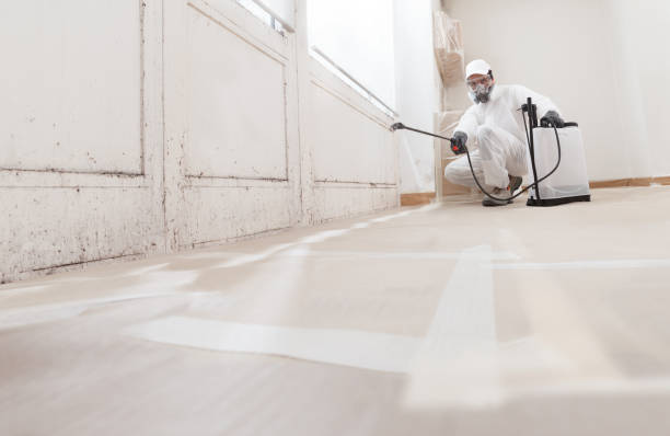 24/7 Emergency Black Mold Remediation experts in Wilsonville, OR