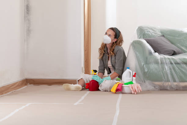 Reliable Black Mold Remediation contractor in Wilsonville, OR by Mold Remediation HQ